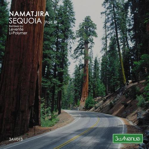 Sequoia