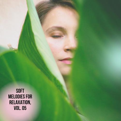 Soft Melodies for Relaxation, Vol. 05