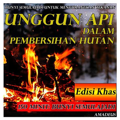 Bunyi Semulajadi untuk Mengurangkan Tekanan: Unggun Api dalam Pembersihan Hutan: Edisi Khas