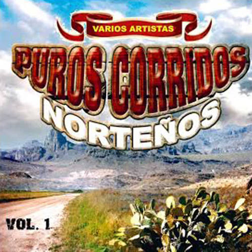 Puros Corridos Nortenos, Vol. 1