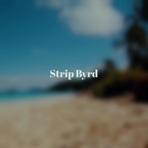 Strip Byrd