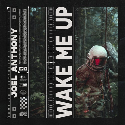 Wake Me Up (Explicit)