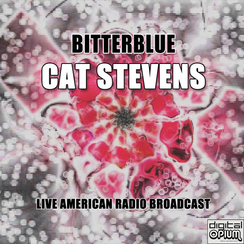 Bitterblue (Live)