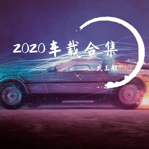 2020车载合集