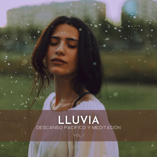 Lluvia: Descanso Pacífico Y Meditación Vol. 1