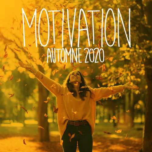 Motivation Automne 2020 (Explicit)