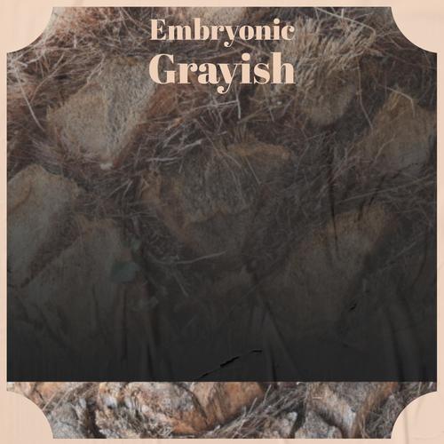 Embryonic Grayish