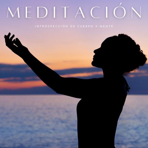 Meditación: Introspección De Cuerpo y Mente