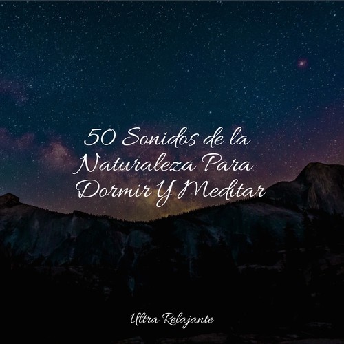 50 Sonidos de la Naturaleza Para Dormir Y Meditar