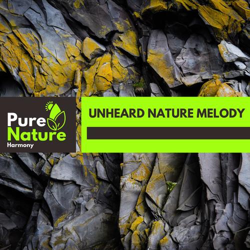 Unheard Nature Melody