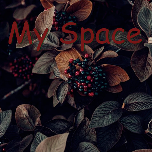 My Space