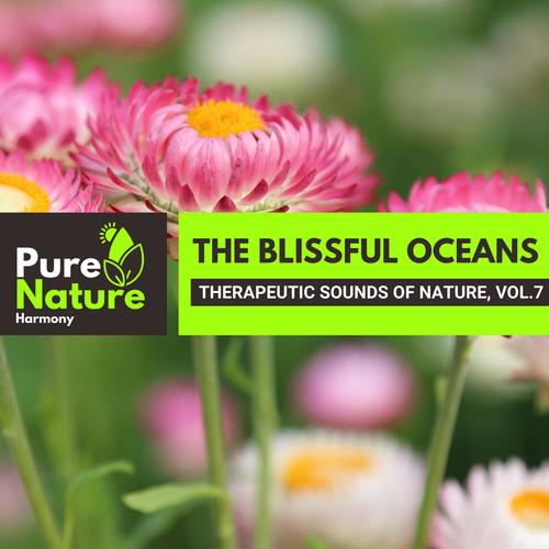 The Blissful Oceans - Therapeutic Sounds of Nature, Vol.7