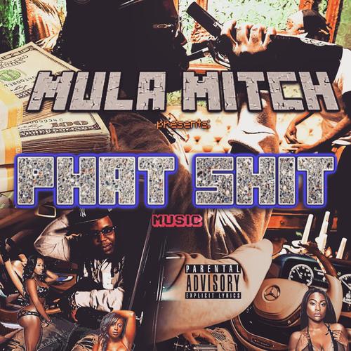 Phat Shit Music (Explicit)