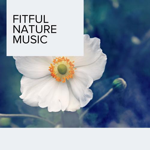 Fitful Nature Music