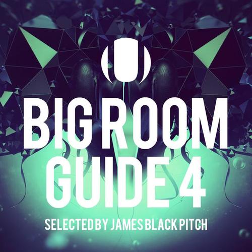 Big Room Guide 4 (Selected by James Black Pitch)