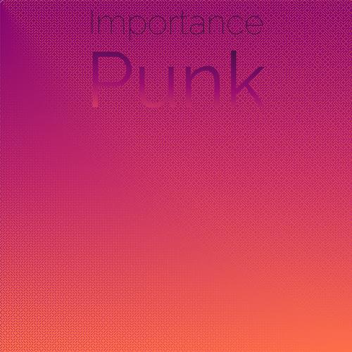 Importance Punk