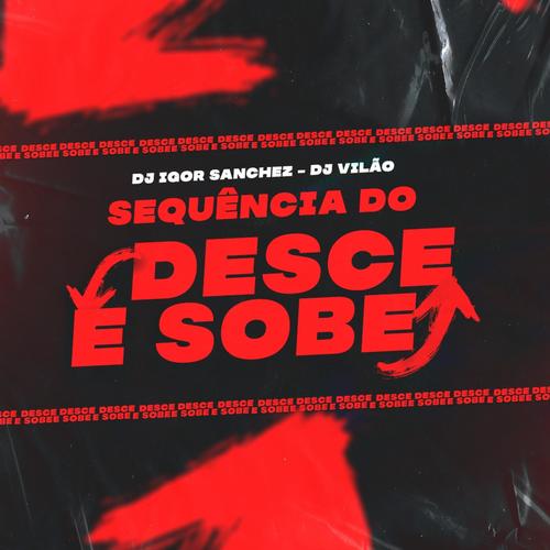 Sequência do Desce e Sobe (feat. Dj Vilão) [Explicit]