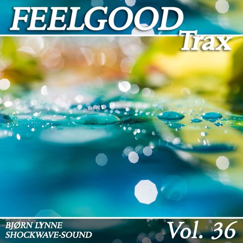 Feelgood Trax, Vol. 36