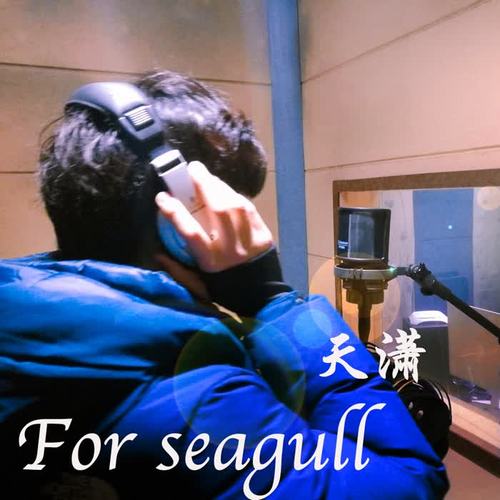 For seagull