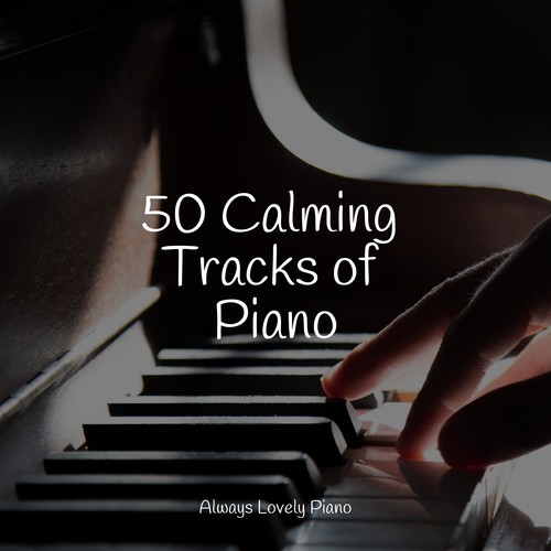 50 Calming Tracks of Piano