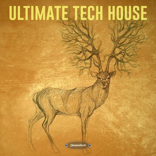 Ultimate Tech House