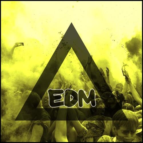 Edm in Color: Yellow (Electronic Dance Music Records)