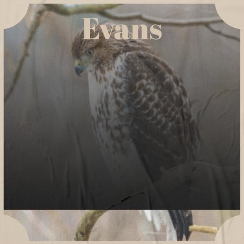 Evans