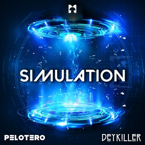 Simulation