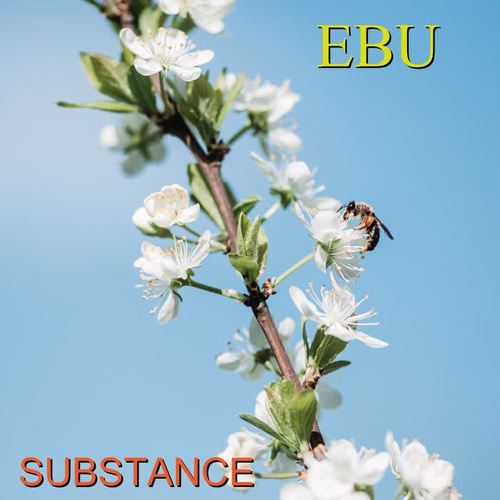 Ebu