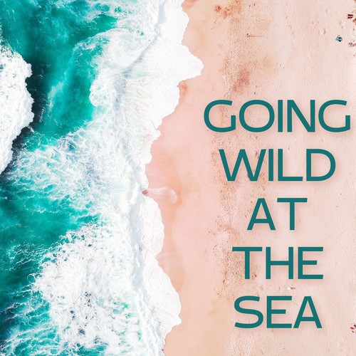 Going Wild at the Sea