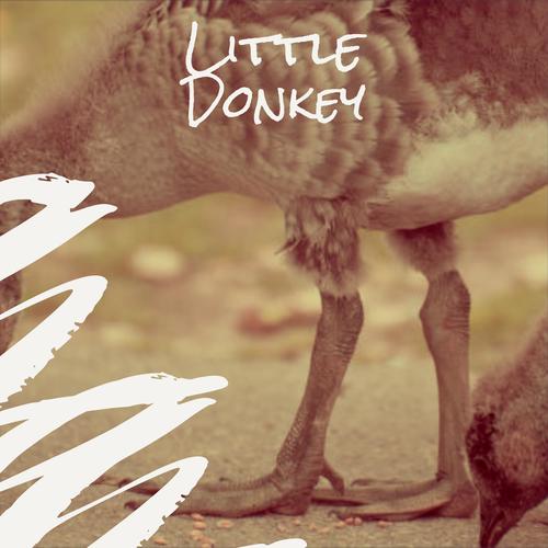 Little Donkey