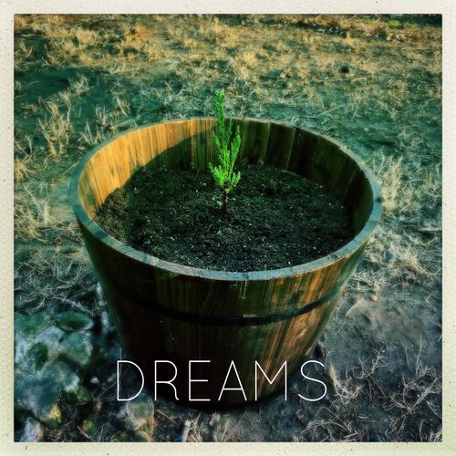 Dreams