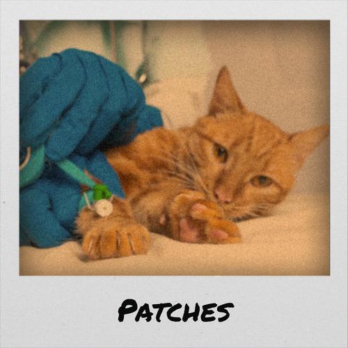 Patches