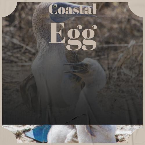 Coastal Egg