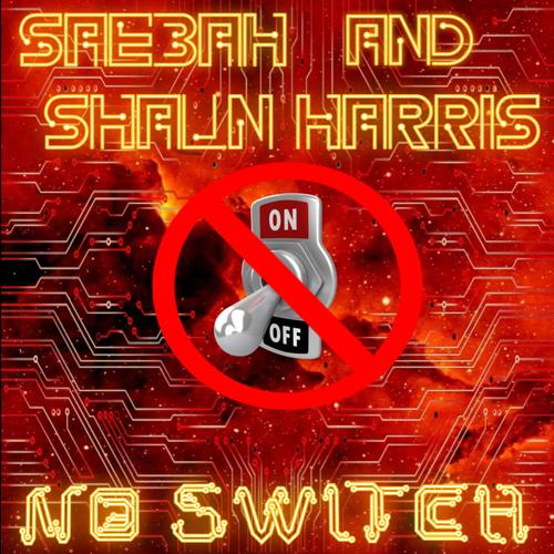 NO SWITCH (feat. Shaun Harris) [Explicit]