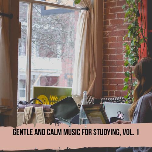 Gentle and Calm Music for Studying, Vol. 1