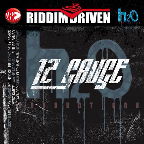 Riddim Driven: 12 Gauge