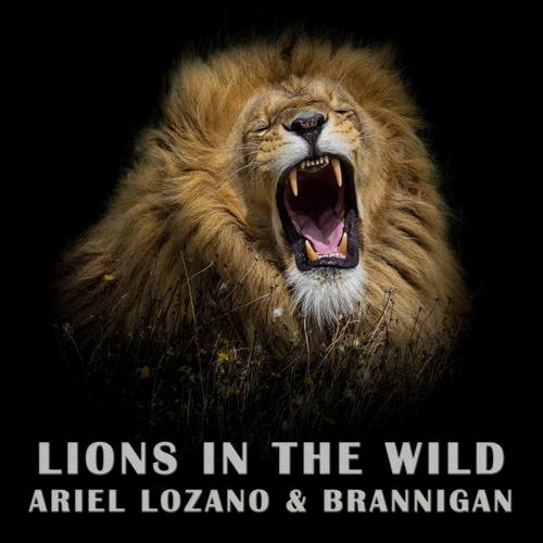 Lions in the wild (feat. Ariel Lozano & Brannigan)