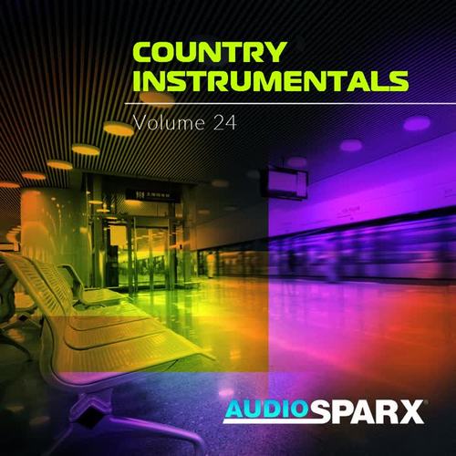 Country Instrumentals Volume 24