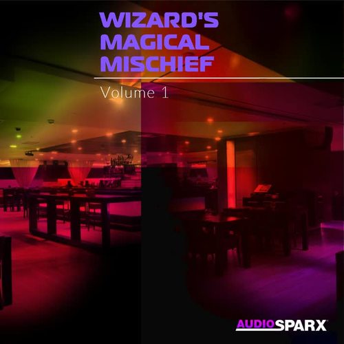 Wizard's Magical Mischief Volume 1