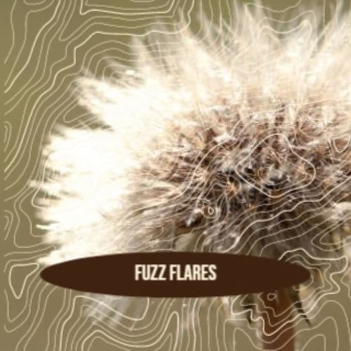 Fuzz Flares