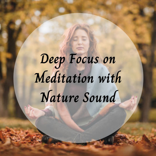 Deep Focus on Meditation with Nature Sound - 3 Hours