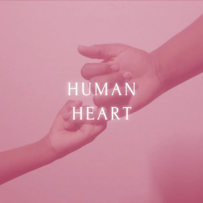 Human Heart