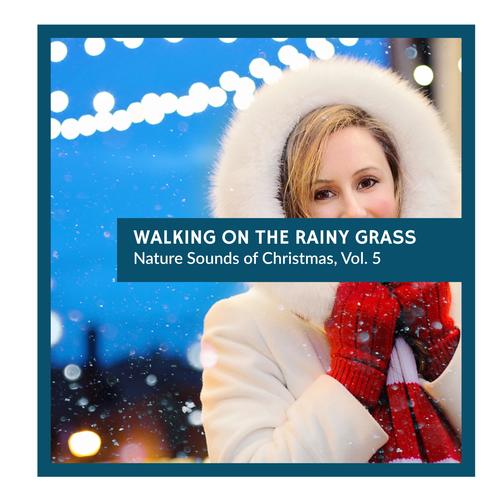 Walking on the Rainy Grass - Nature Sounds of Christmas, Vol. 5