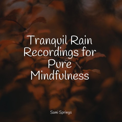 Tranquil Rain Recordings for Pure Mindfulness