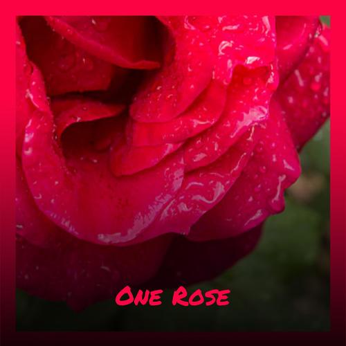 One Rose