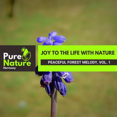 Joy to the Life with Nature - Peaceful Forest Melody, Vol. 1