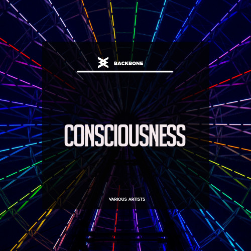 Consciousness