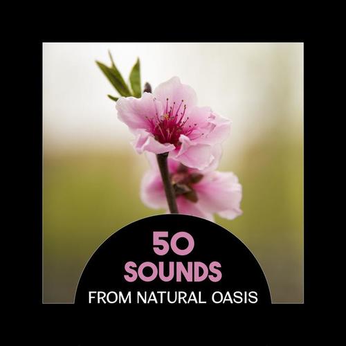 50 Sounds from Natural Oasis - Perfect Quietness of Nature, Relax in the Green Space, Forever Zen and Mindfulness, Anxiety Stress Free