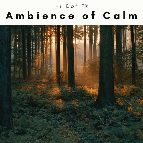 1 Ambience of Calm